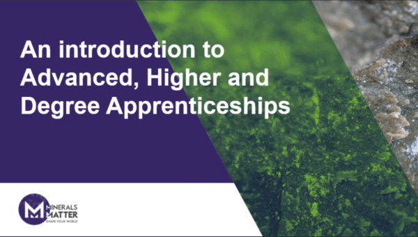 Apprenenticeship Intro An Introduction to Apprenticeships (PPT)
